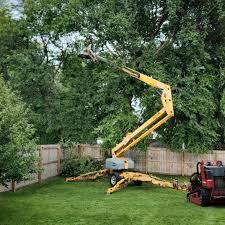 Best Weed Control  in Clute, TX