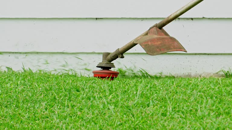 Best Landscape Design and Installation  in Clute, TX